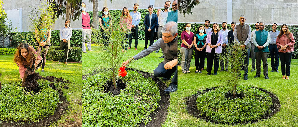  <div style="color: #fff; font-weight: 600; font-size: 1.5em;">
<p style="font-size: 13.8px;">
 In line with the themes of #MissionLiFE , Officials & staff of the Embassy led by Ambassador Pankaj Sharma organized a tree plantation drive.

They also took a pledge to promote & follow environment friendly actions and sustainable lifestyle.

    <br /><span style="text-align: center;">29.09.2023</span></p>
</div>